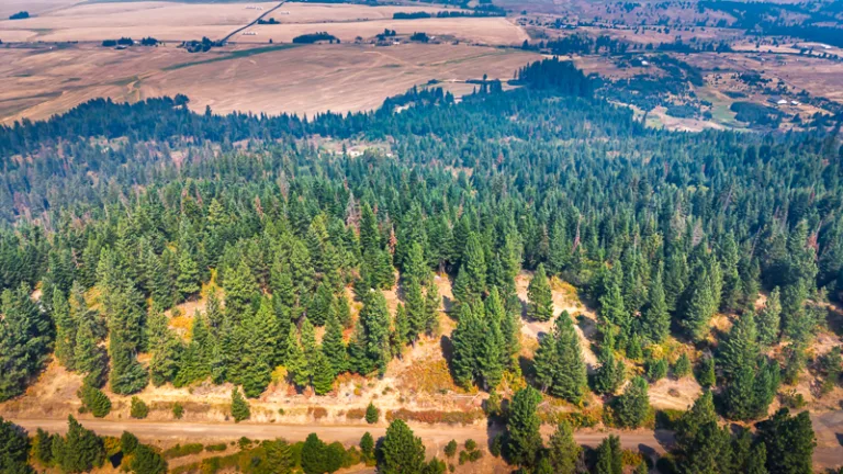 Aerial view of wooded North Idaho acreage and surrounding countryside near Worley