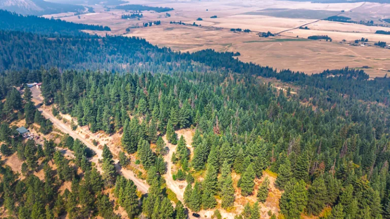 Wooded acreage on Sunny Slopes Ridge with private road access in Worley, Idaho