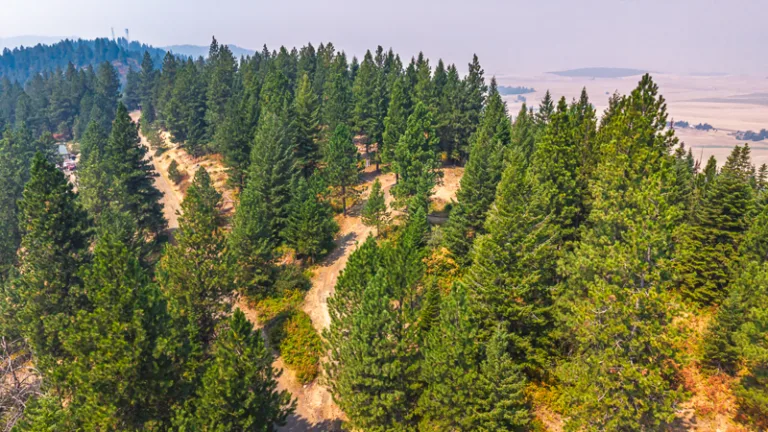 Aerial view of 10 wooded acres on Sunny Slopes Ridge in Worley, Idaho